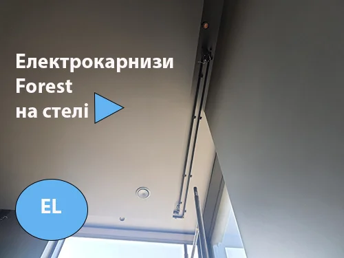Карниз Forest на стелі